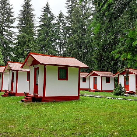 Casute Valea Zanelor Ξενοδοχείο Κοβάσνα Εξωτερικό φωτογραφία