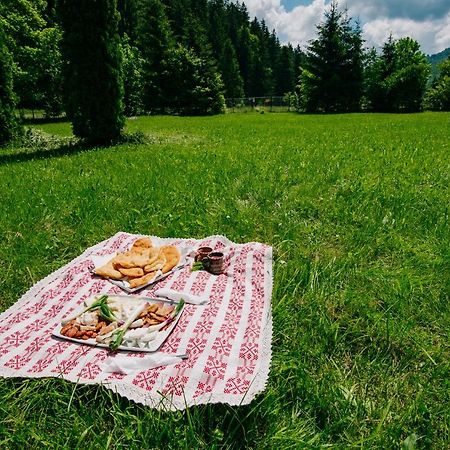 Casute Valea Zanelor Ξενοδοχείο Κοβάσνα Εξωτερικό φωτογραφία