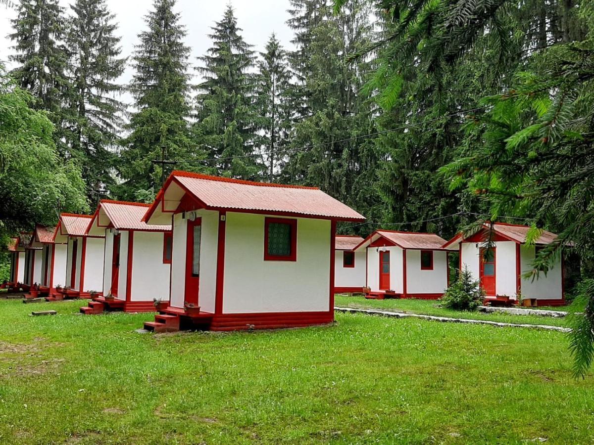 Casute Valea Zanelor Ξενοδοχείο Κοβάσνα Εξωτερικό φωτογραφία